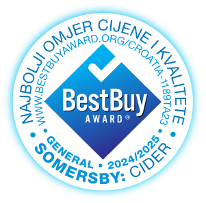Best Buy Award